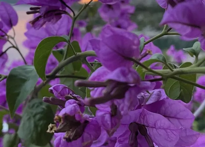Robinzonska Kuca Uz * 트콘