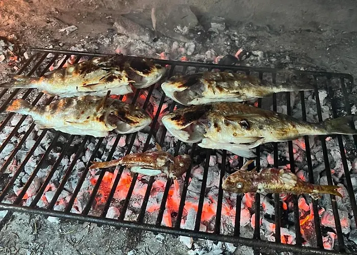 Robinzonska Kuca Uz Сasa de vacaciones